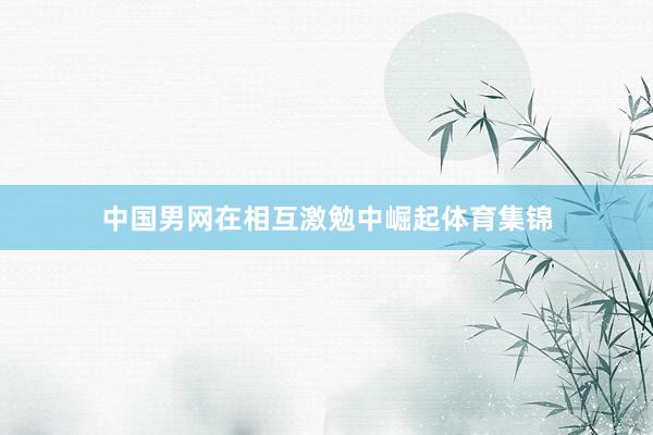 中国男网在相互激勉中崛起体育集锦