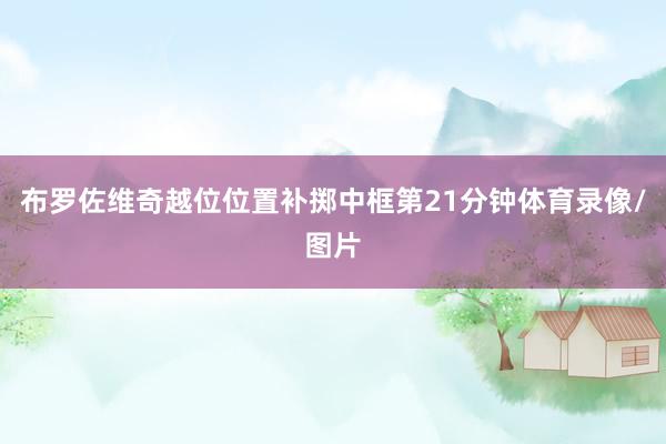 布罗佐维奇越位位置补掷中框第21分钟体育录像/图片