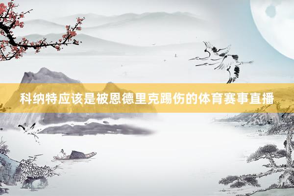 科纳特应该是被恩德里克踢伤的体育赛事直播