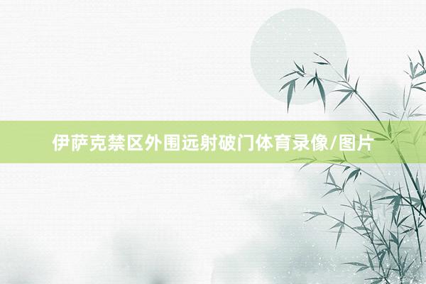 伊萨克禁区外围远射破门体育录像/图片