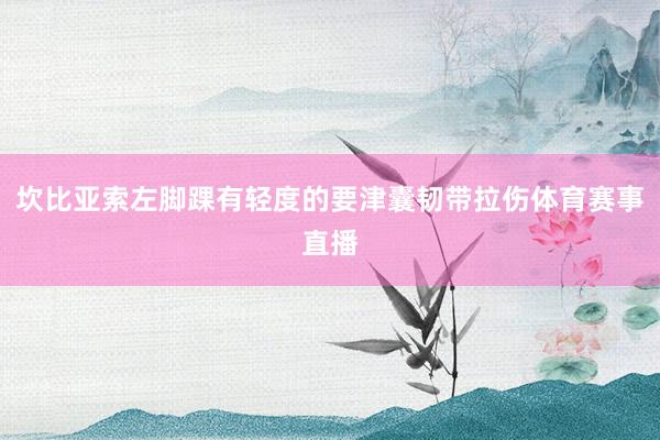 坎比亚索左脚踝有轻度的要津囊韧带拉伤体育赛事直播
