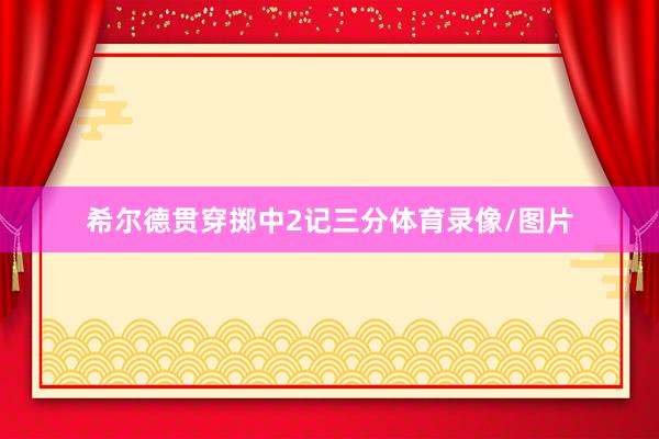 希尔德贯穿掷中2记三分体育录像/图片