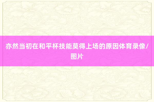亦然当初在和平杯技能莫得上场的原因体育录像/图片