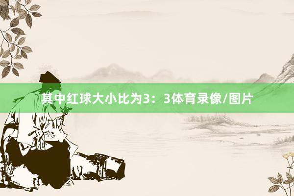 其中红球大小比为3：3体育录像/图片