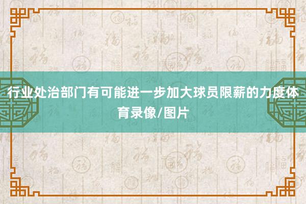 行业处治部门有可能进一步加大球员限薪的力度体育录像/图片