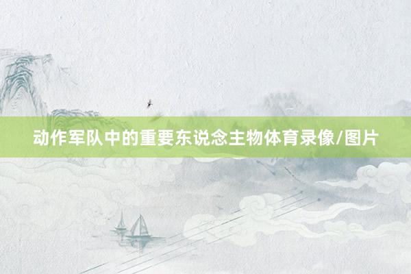 动作军队中的重要东说念主物体育录像/图片