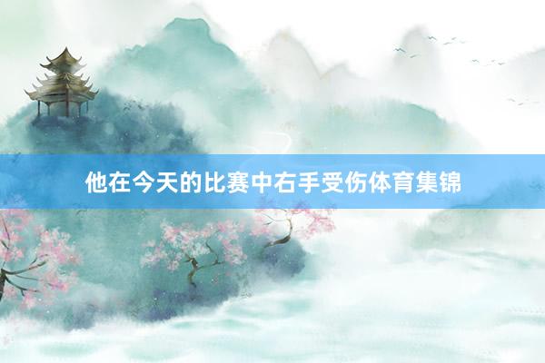 他在今天的比赛中右手受伤体育集锦