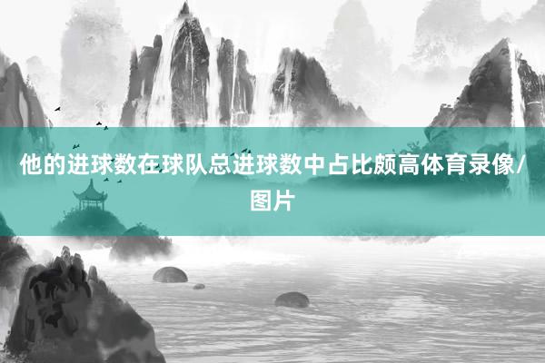 他的进球数在球队总进球数中占比颇高体育录像/图片