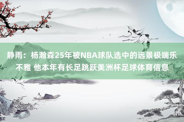 静雨：杨瀚森25年被NBA球队选中的远景极端乐不雅 他本年有长足跳跃美洲杯足球体育信息