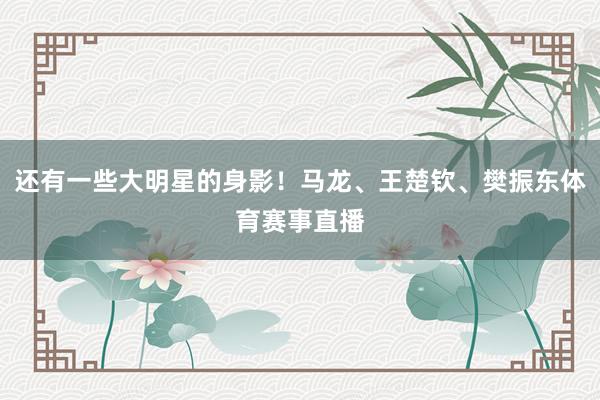 还有一些大明星的身影！马龙、王楚钦、樊振东体育赛事直播