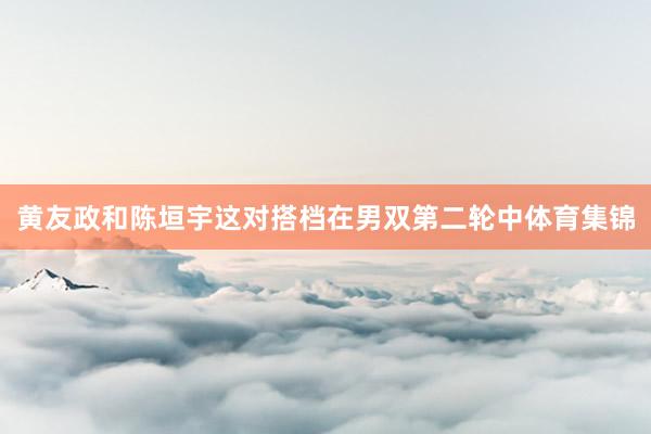 黄友政和陈垣宇这对搭档在男双第二轮中体育集锦