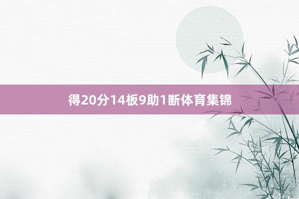 得20分14板9助1断体育集锦