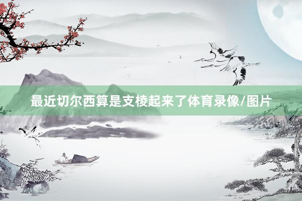 最近切尔西算是支棱起来了体育录像/图片