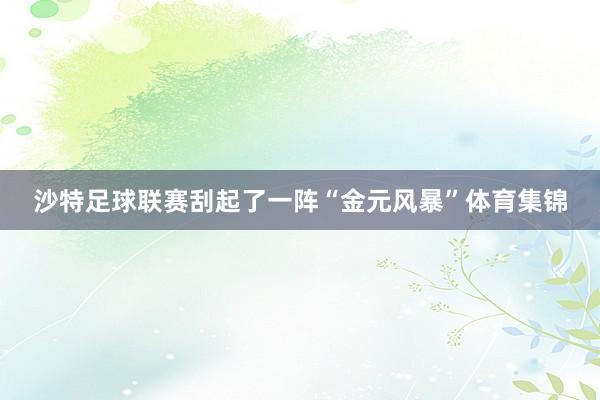 沙特足球联赛刮起了一阵“金元风暴”体育集锦