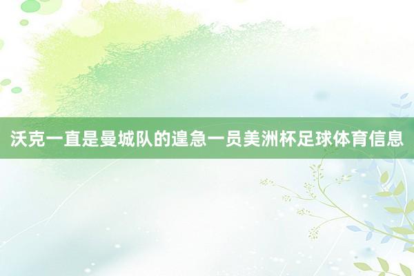 沃克一直是曼城队的遑急一员美洲杯足球体育信息