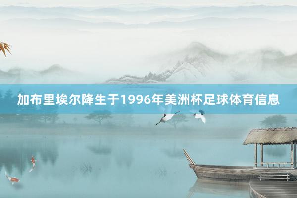 加布里埃尔降生于1996年美洲杯足球体育信息