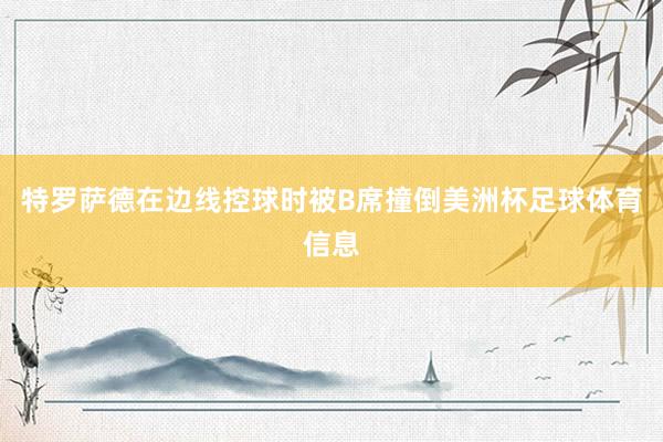 特罗萨德在边线控球时被B席撞倒美洲杯足球体育信息