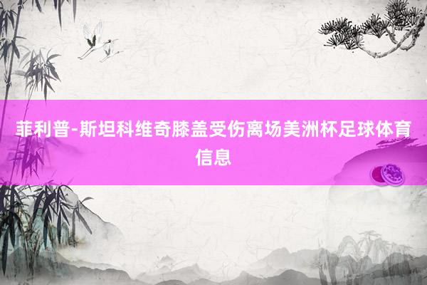 菲利普-斯坦科维奇膝盖受伤离场美洲杯足球体育信息
