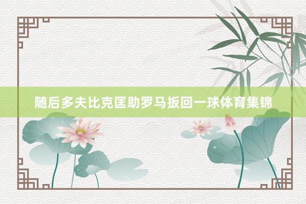 随后多夫比克匡助罗马扳回一球体育集锦