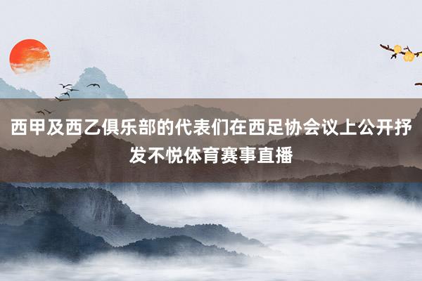 西甲及西乙俱乐部的代表们在西足协会议上公开抒发不悦体育赛事直播