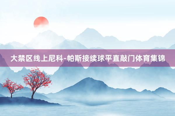 大禁区线上尼科-帕斯接续球平直敲门体育集锦
