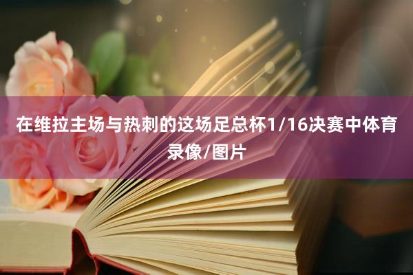 在维拉主场与热刺的这场足总杯1/16决赛中体育录像/图片