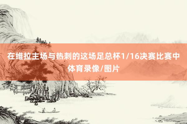 在维拉主场与热刺的这场足总杯1/16决赛比赛中体育录像/图片