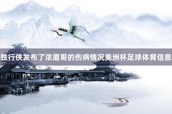 独行侠发布了浓眉哥的伤病情况美洲杯足球体育信息