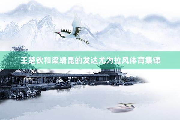 王楚钦和梁靖昆的发达尤为拉风体育集锦