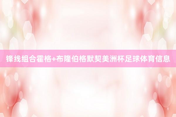 锋线组合霍格+布隆伯格默契美洲杯足球体育信息