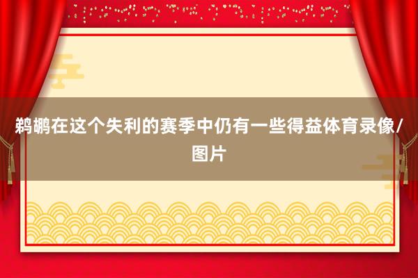 鹈鹕在这个失利的赛季中仍有一些得益体育录像/图片