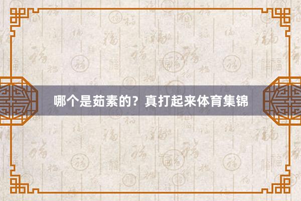 哪个是茹素的？真打起来体育集锦