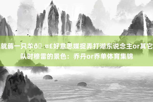 就薅一只羊🤣好意思媒捉弄打湖东说念主or其它队时穆雷的景色：乔丹or乔单体育集锦