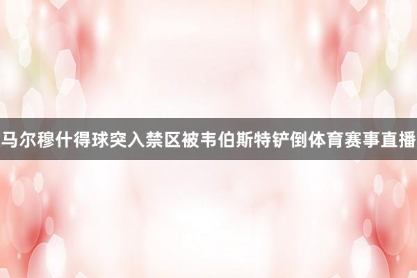 马尔穆什得球突入禁区被韦伯斯特铲倒体育赛事直播