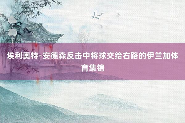 埃利奥特-安德森反击中将球交给右路的伊兰加体育集锦