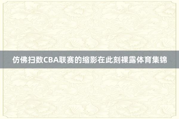 仿佛扫数CBA联赛的缩影在此刻裸露体育集锦