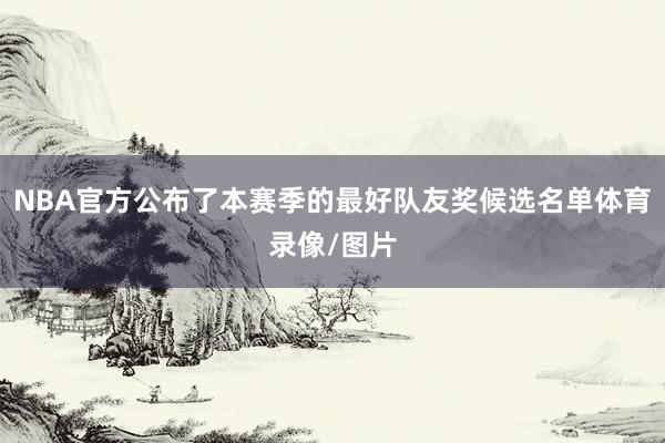 NBA官方公布了本赛季的最好队友奖候选名单体育录像/图片