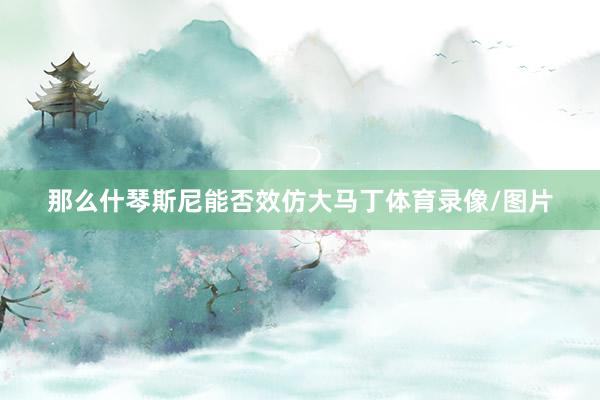 那么什琴斯尼能否效仿大马丁体育录像/图片