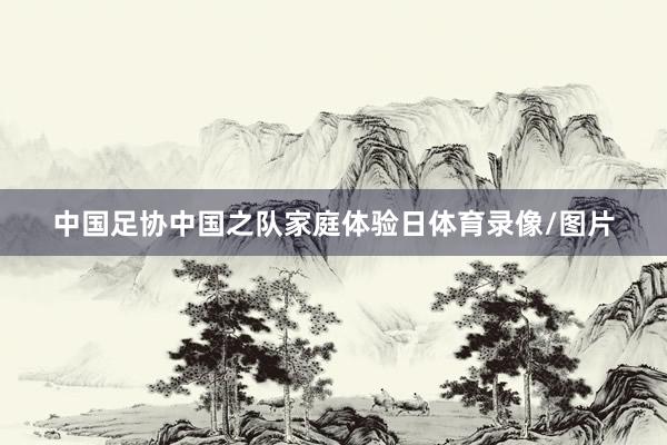 中国足协中国之队家庭体验日体育录像/图片