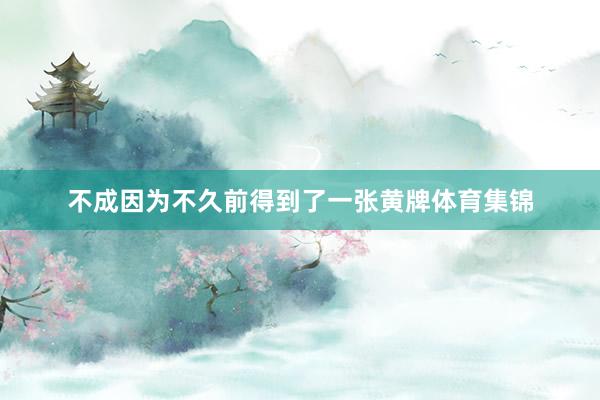 不成因为不久前得到了一张黄牌体育集锦