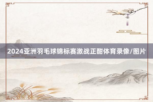 2024亚洲羽毛球锦标赛激战正酣体育录像/图片