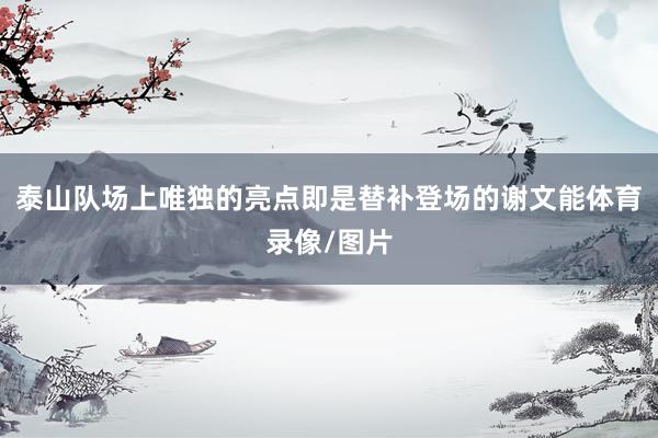 泰山队场上唯独的亮点即是替补登场的谢文能体育录像/图片
