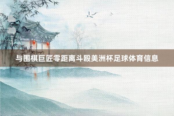与围棋巨匠零距离斗殴美洲杯足球体育信息
