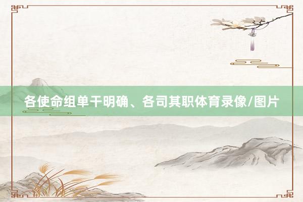 各使命组单干明确、各司其职体育录像/图片