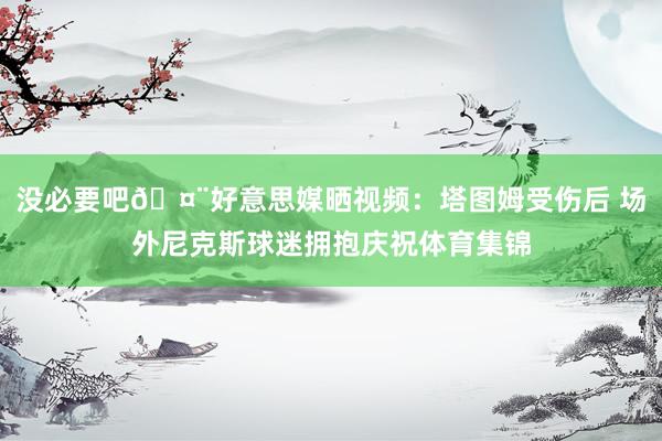 没必要吧🤨好意思媒晒视频：塔图姆受伤后 场外尼克斯球迷拥抱庆祝体育集锦