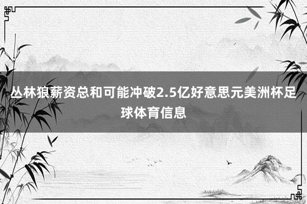 丛林狼薪资总和可能冲破2.5亿好意思元美洲杯足球体育信息