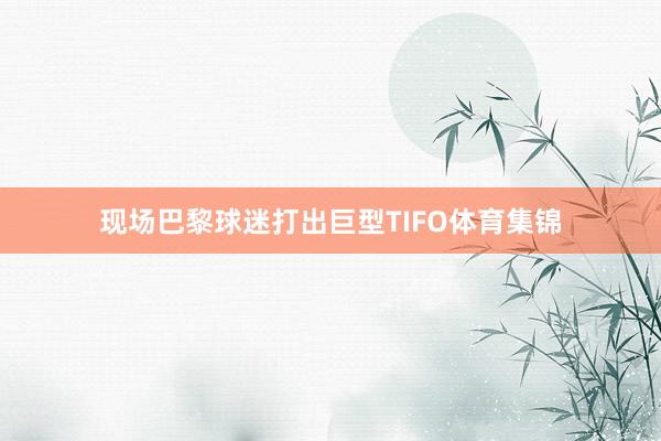 现场巴黎球迷打出巨型TIFO体育集锦