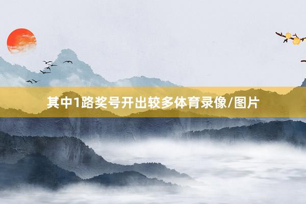 其中1路奖号开出较多体育录像/图片