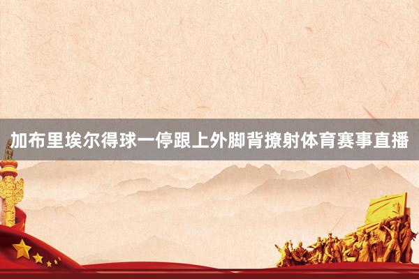 加布里埃尔得球一停跟上外脚背撩射体育赛事直播
