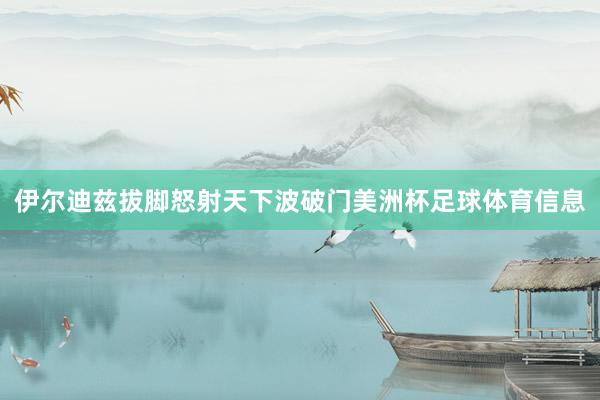 伊尔迪兹拔脚怒射天下波破门美洲杯足球体育信息
